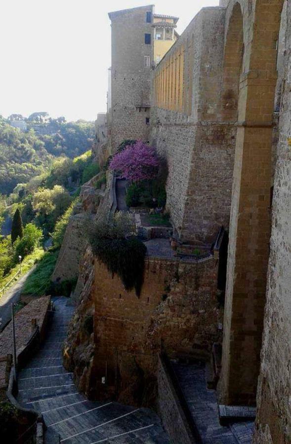 Appartamento Orchidea Montemerano Εξωτερικό φωτογραφία